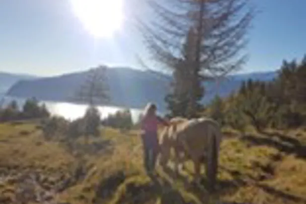 En person som står ved siden av en hest