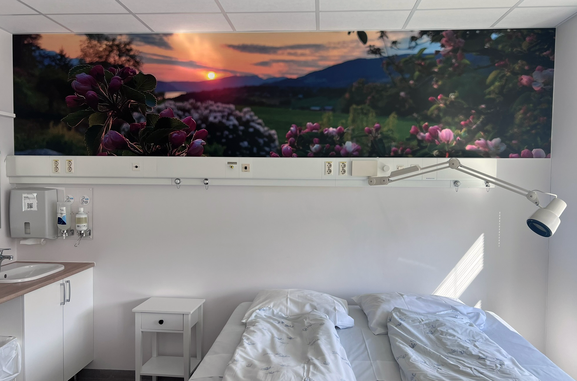 Fototapet på eit barselrom som viser fruktblomstring i solnedgang ein vårkveld i Gloppen