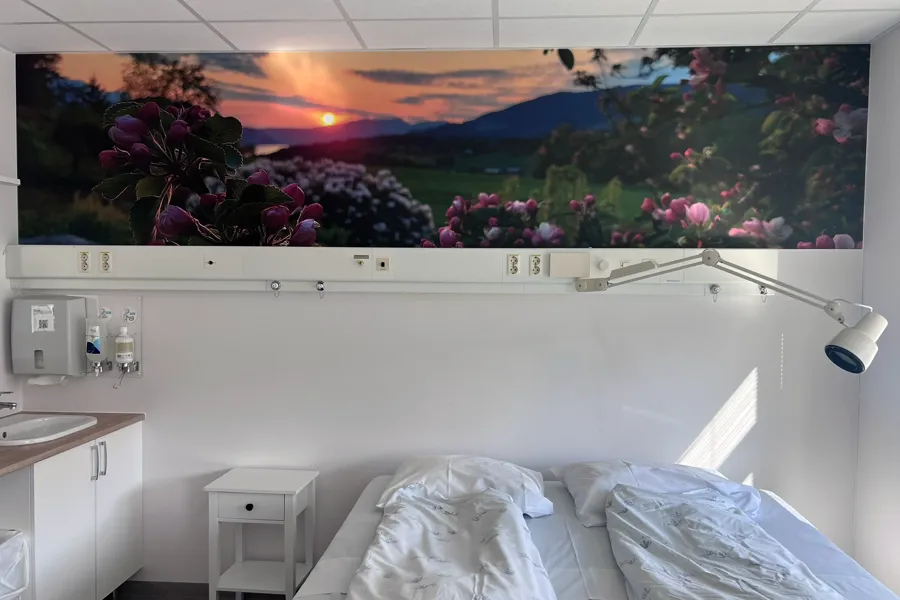 Fototapet på eit barselrom som viser fruktblomstring i solnedgang ein vårkveld i Gloppen