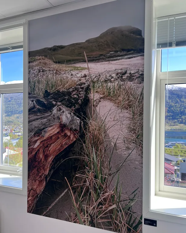 Fototapet mellom vindauga på eit barselrom, som viser nærbilete av ei sandstrand med ein gammal trestokk i forgrunnen