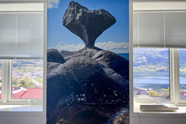 Fototapet mellom to vinduer på eit barselrom ved Nordfjord sjukehus. Tapeten viser ein skulptur av ein stein mot blå himmel.