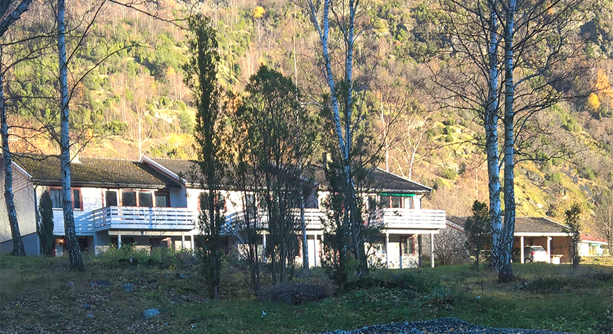 Kvite rekkehus med skog i forgrunnen