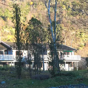 Kvite rekkehus med skog i forgrunnen