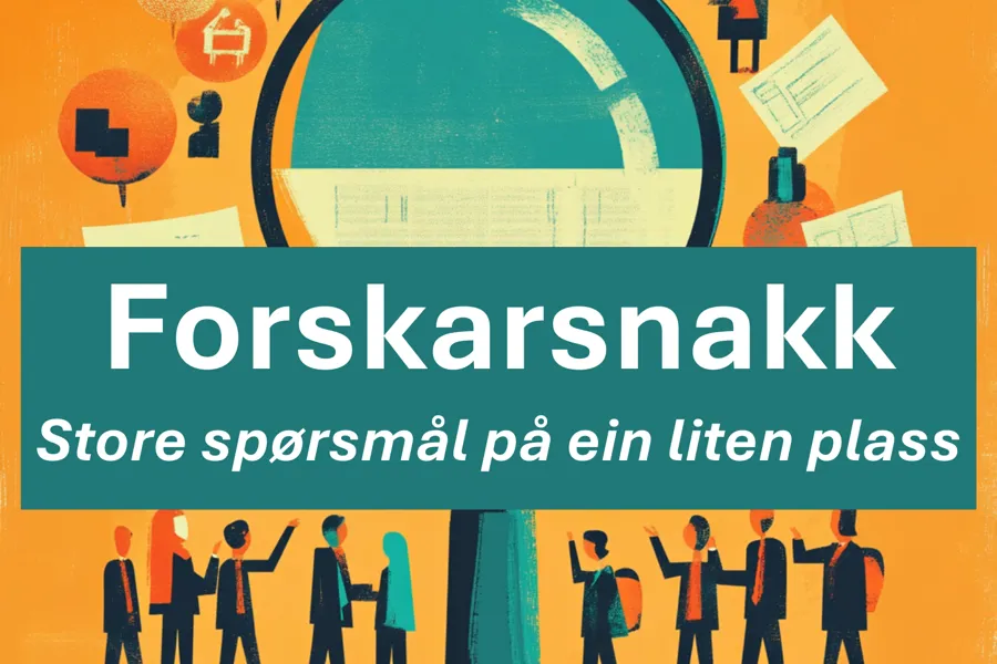 bilde av en plakat