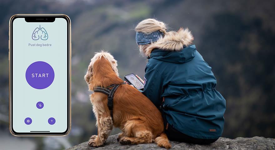 Ein person som sit utandørs på ein bergknaus saman med ein hund og ser på mobiltelefonen sin