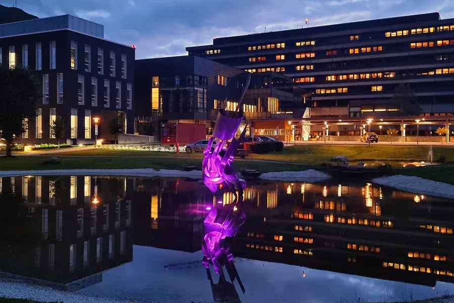 En bygning med et vannbasseng foran seg