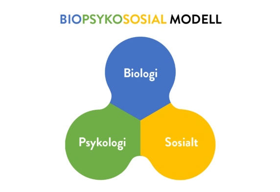 Ein figur som viser tre former som er sett saman. Den blå delen står for biologi, den grøne for psykologi og den gule for sosialt