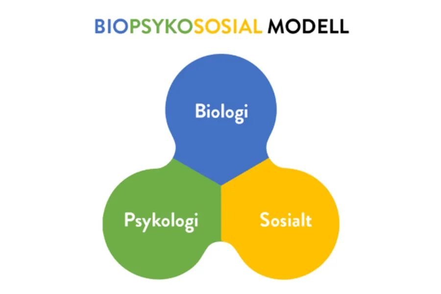 Ein figur som viser tre former som er sett saman. Den blå delen står for biologi, den grøne for psykologi og den gule for sosialt