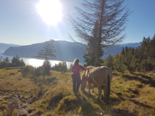 Ein person med ein hest ein vakker sommardag med sol frå skyfri himmel, og utsikt mot fjorden