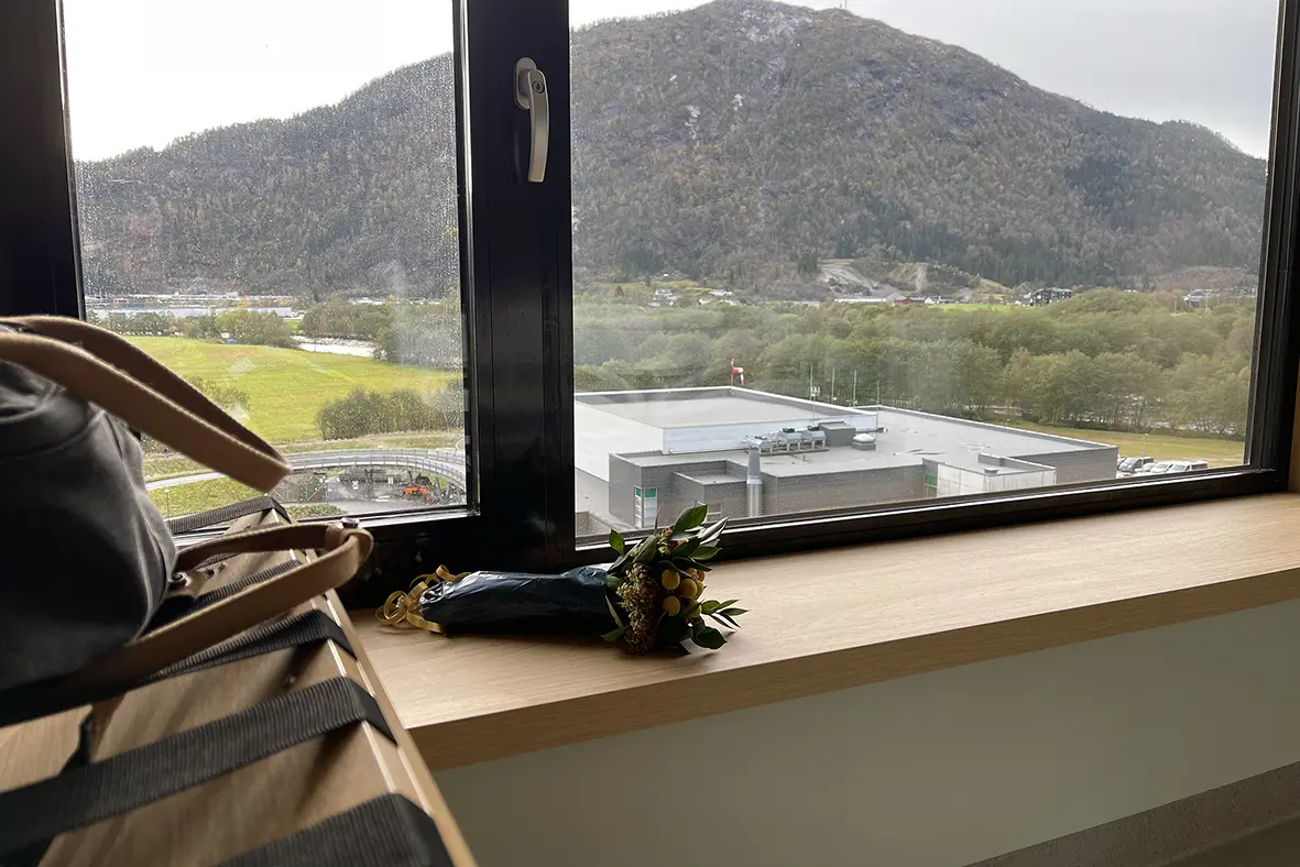 Utsikt over en by fra et vindu