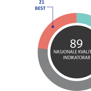Et skjermbilde av en datamaskin