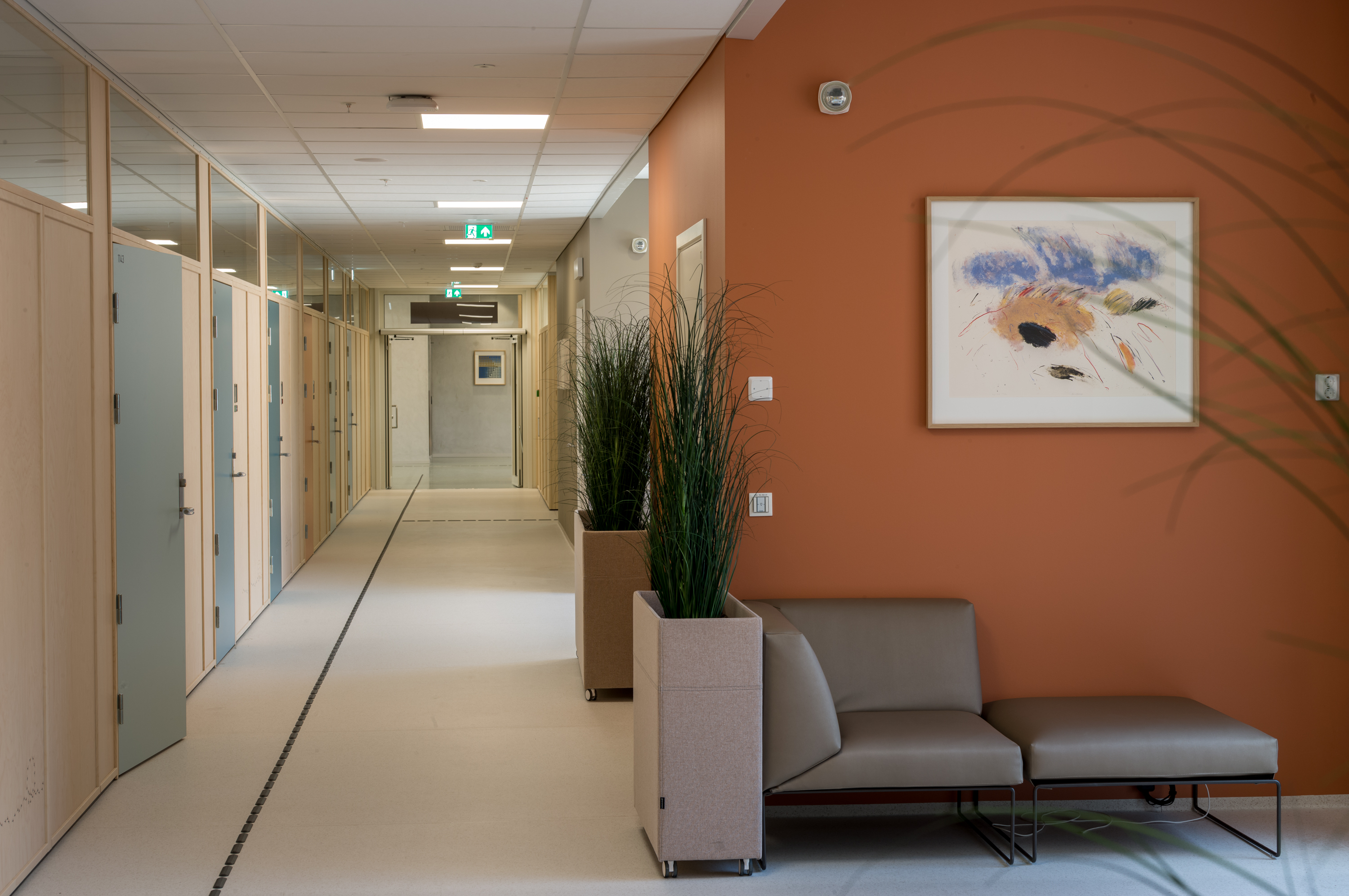 Litografi på ein oransje vegg i ein korridor med 2 grøne plantar og ein stol