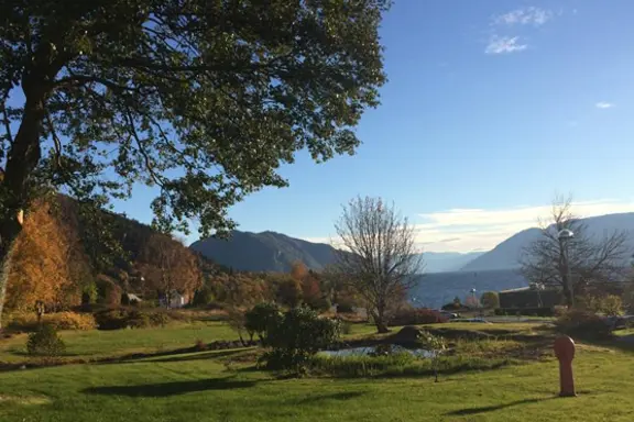 naturbilete av landskapsområde med grønt gras og tre og blå himmel i bakgrunnen