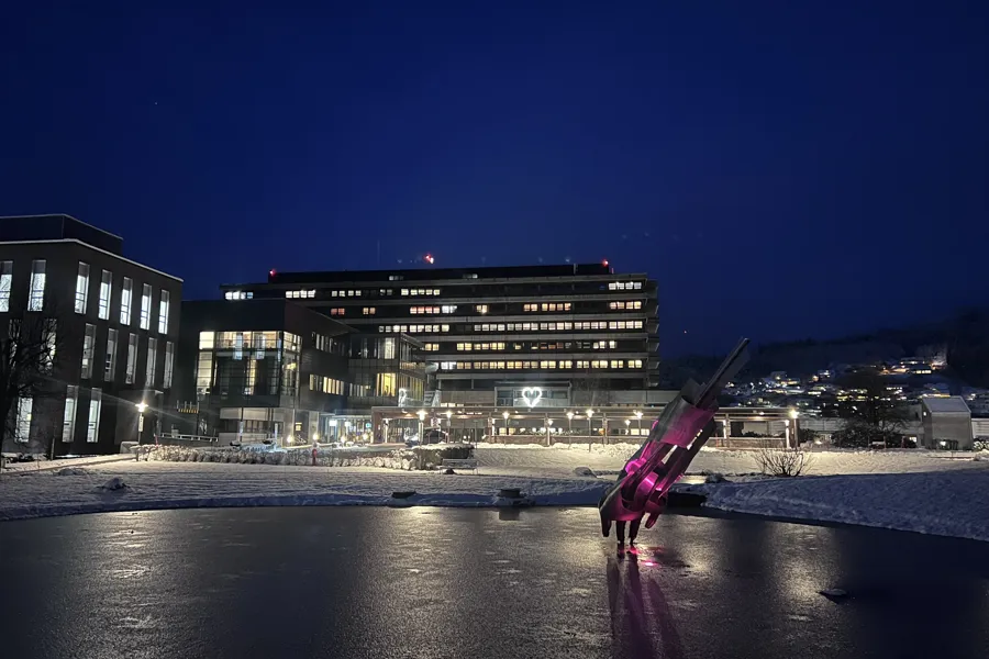 Sentralsjukehuset i Førde ein vintermorgnn sett frå sjukehusparken, med skulpturen av handa opplyst i front
